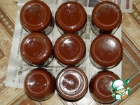 �������-�������� ���� �����������