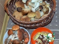 ���� ������� ����������� �����������