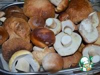 ����� ����� ������������ �����������