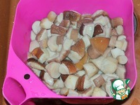 ����� ����� ������������ �����������