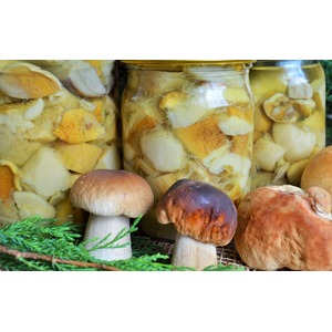 ����� ����� ������������