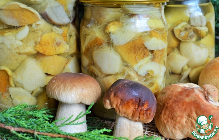 Топ рецептов маринования белых грибов от «Едим Дома»