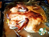 ����������� ���� �� 90 ����� �����������