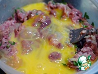 ������ � ������ �����������