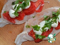 ���� � ������ � ����� �������� �����������