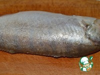 ���� � ������� �����������