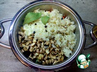 �� � �������� �������� � ������� �����������