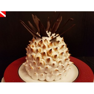 ���� "������ ������"