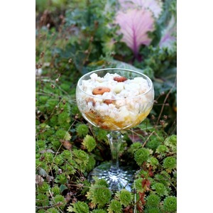 ��������� �������� ���� "��������� ��������"