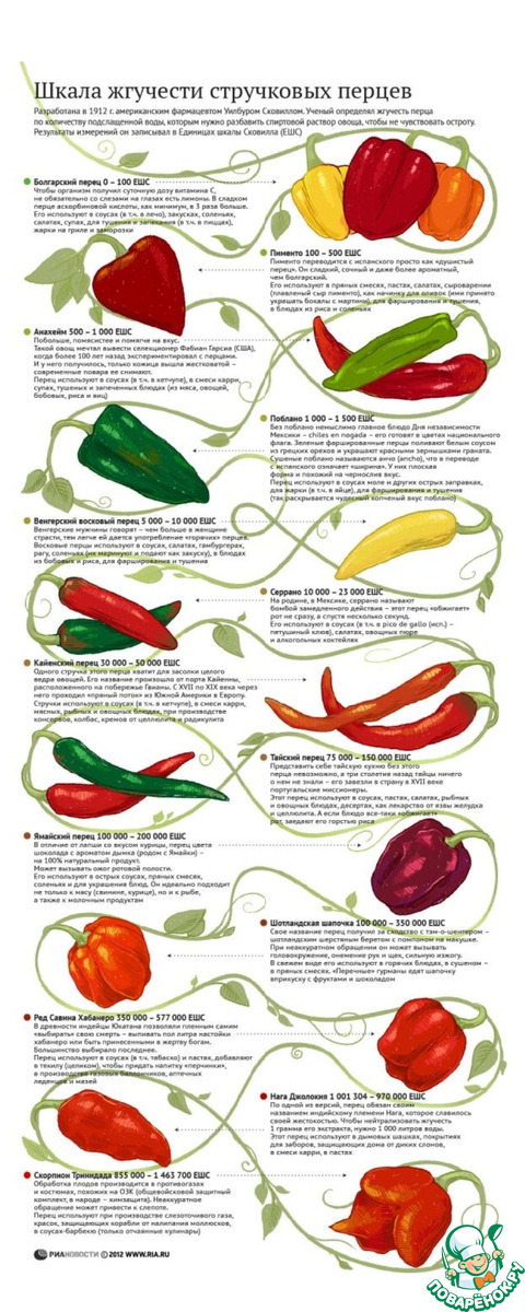 ����� �������� (������� �����).