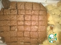 ���� "�������� ���������" �����������