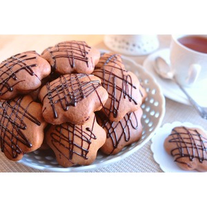 ������� ���������-�������