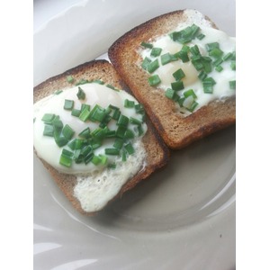 ������� "������ ���"