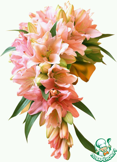 ������� ���� �������� � ��������� ������� (chesna-olga).