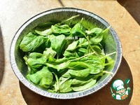 ������� �������, ���������� ��� ������ �����������