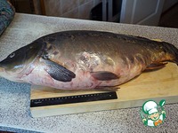 ���� � ������� � ������� �����������