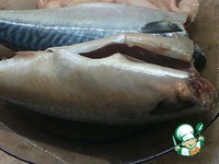 �������, ���������� � ������ �����������