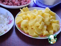 ������������ ��� "�������" �����������