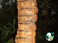 �������� �������-������� �����������