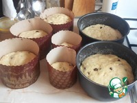 ���������� ����������� ����� "��������" �����������