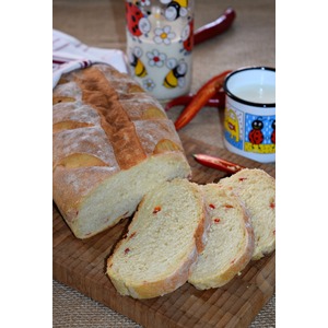 ���� � ������ ���� "������"