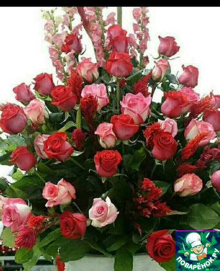 ���� ���� �������� ������� �������� ������� (fiona001313).