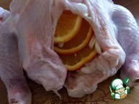 ������, ���������� � ����������� �����������