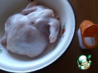 ������, ���������� � ����������� �����������