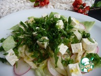 ������� ������������ �����������