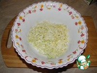 ������ � �������� �����������