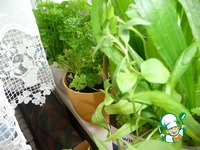 ������ ����� �� ������ �����������