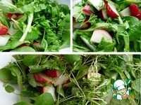 ����� "����� ��������" �����������