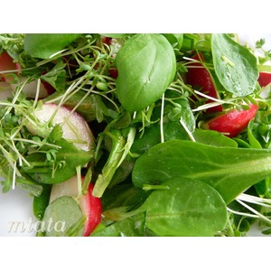 ����� "����� ��������"