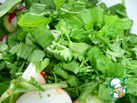 ������� ����� � ������� � ������� �����������