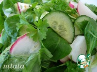 ������� ����� � ������� � ������� �����������