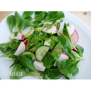 ������� ����� � ������� � �������