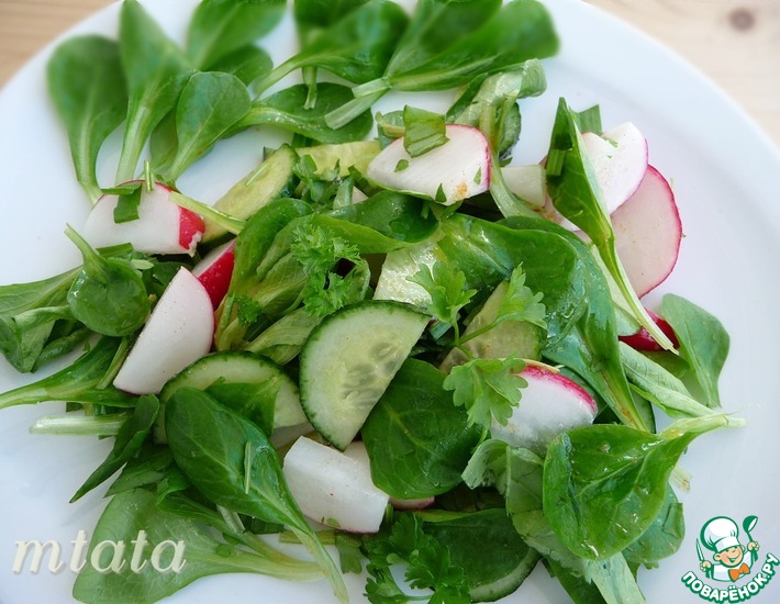 Вкусный весенний салат из редиса и рукколы - рецепты и полезные идеи