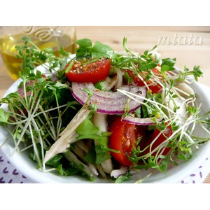 ����� �� ������������� ������� � ����������