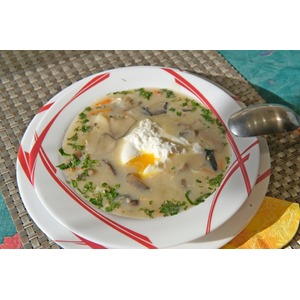 ����-������� �������