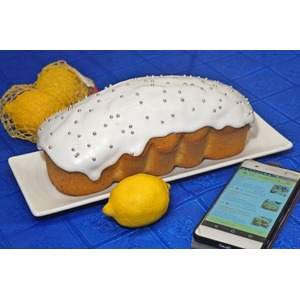 ���� �� ������ "�������� ����"