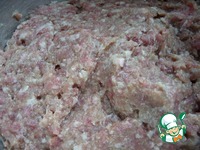 ���������-�������� ����� �� ������ �����������