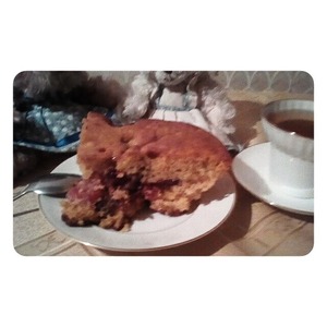 �������� ����� � ������������ �������� "����������"