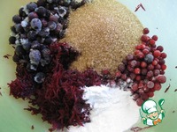 ����� � ������-���������� �������� �����������