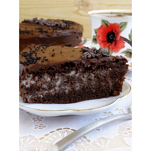 ���� ���������� ������