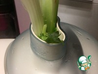 ���������� ���� "��������" �����������