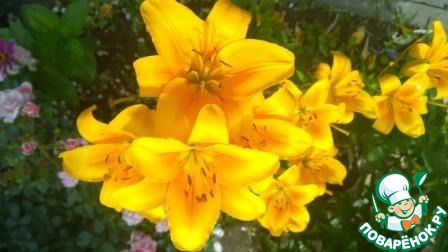 ����� � �������, ��������, ������� ���...