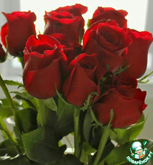 ������� ���� �������� � ��������� ������ (Irena-Paloma).