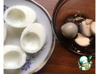 ����, ������������� ����� � �������� �����������