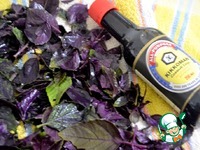 ������� ���� "����" �����������