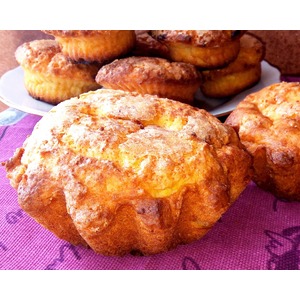 ����� ��������� �������